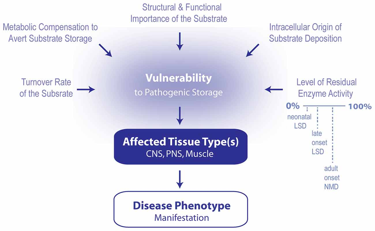 How Are Laturedrianeuro Caused? Key Insights